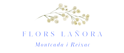 Main_Logo__3_-removebg-preview